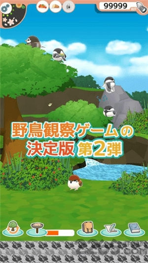 小鸟观察2游戏