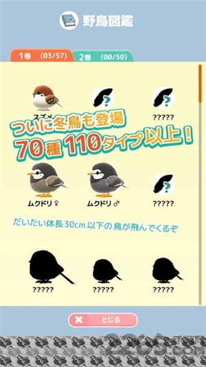 小鸟观察2游戏
