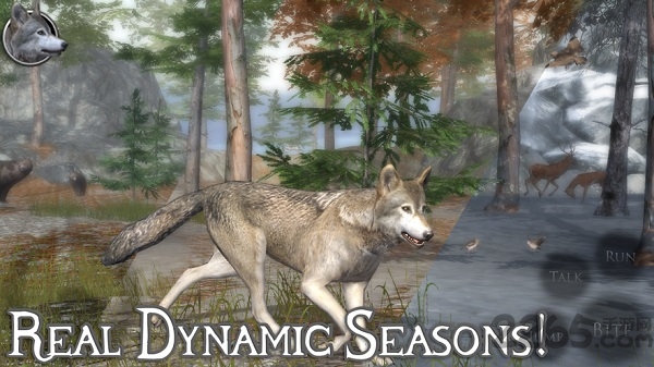 终极狼模拟器2游戏 终极狼模拟器2中文版下载