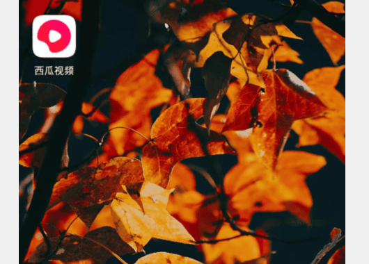 西瓜视频怎么看电视剧教程 西瓜视频app看电视剧教程