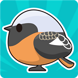 小鸟观察2游戏