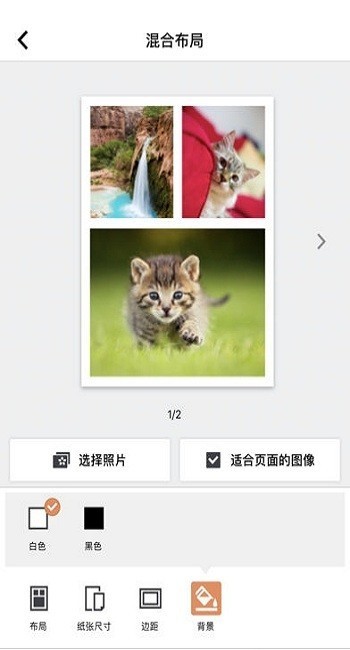 selphy photo layout官方版 canon selphy photo layout下载