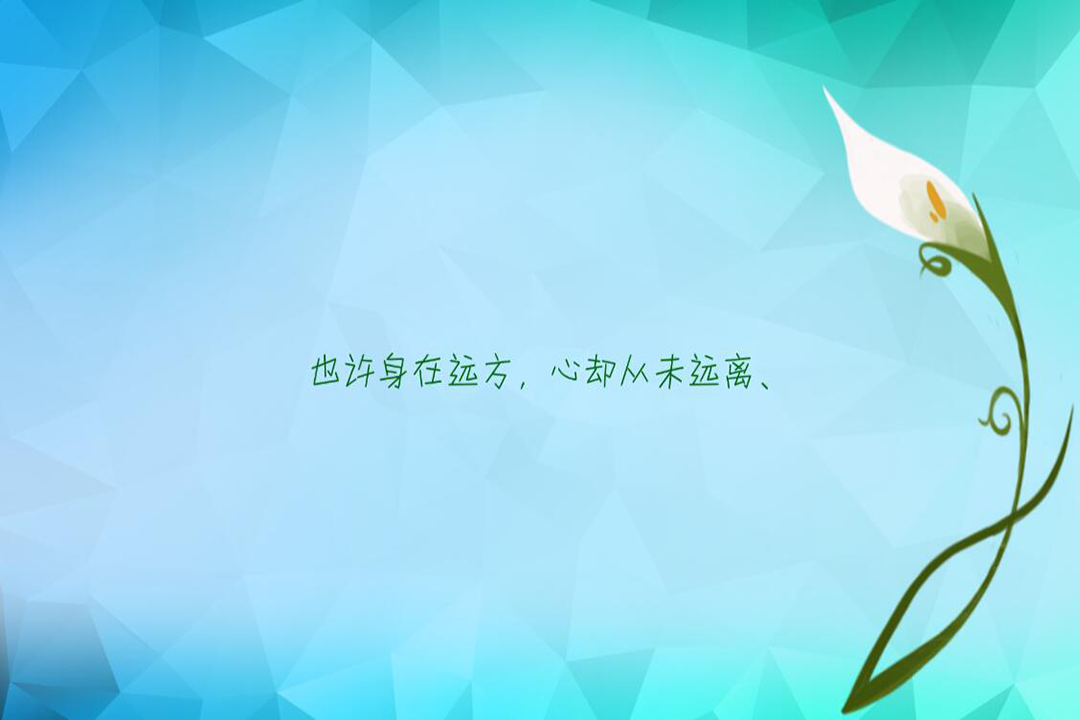 遇你寻路最新版