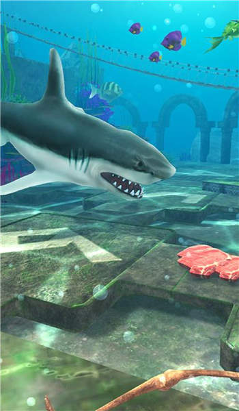 食人鲨模拟器游戏