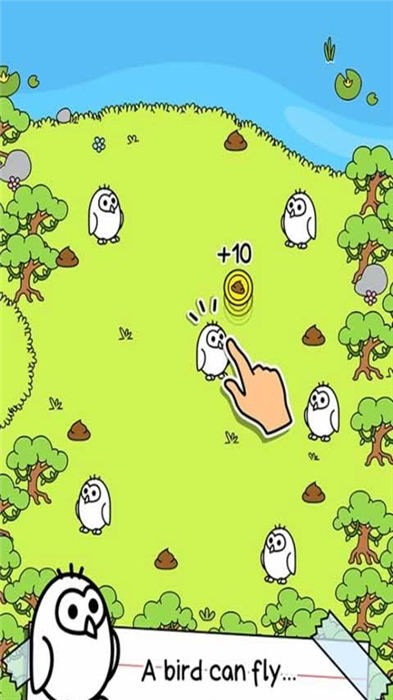 鸟类进化手机版