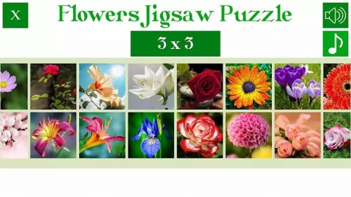 花卉拼图谜题官方版(flowers puzzle)