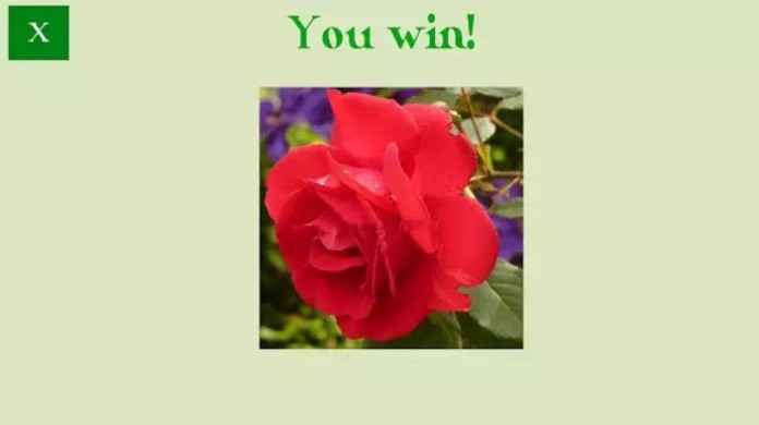 花卉拼图谜题官方版(flowers puzzle)